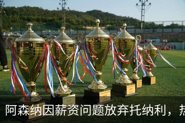 阿森纳因薪资问题放弃托纳利，热刺9.02亿元总价敲定交易