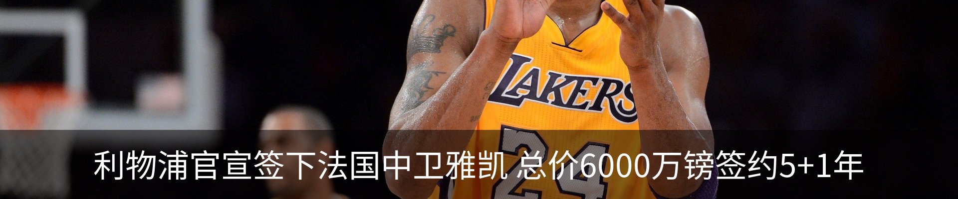 最新动态