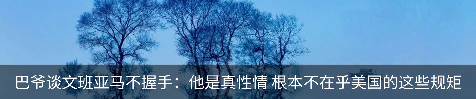 最新动态