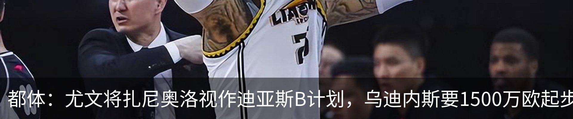 最新动态